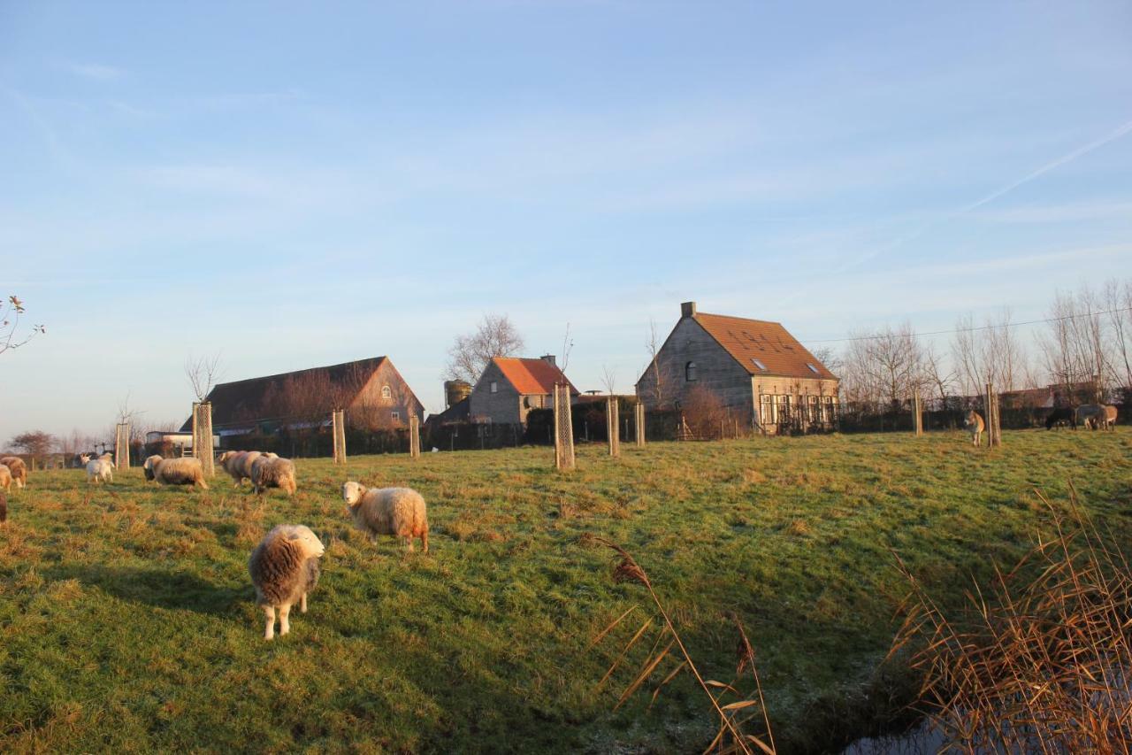 De Molenkreek Villa Sint-Margriete Exterior foto